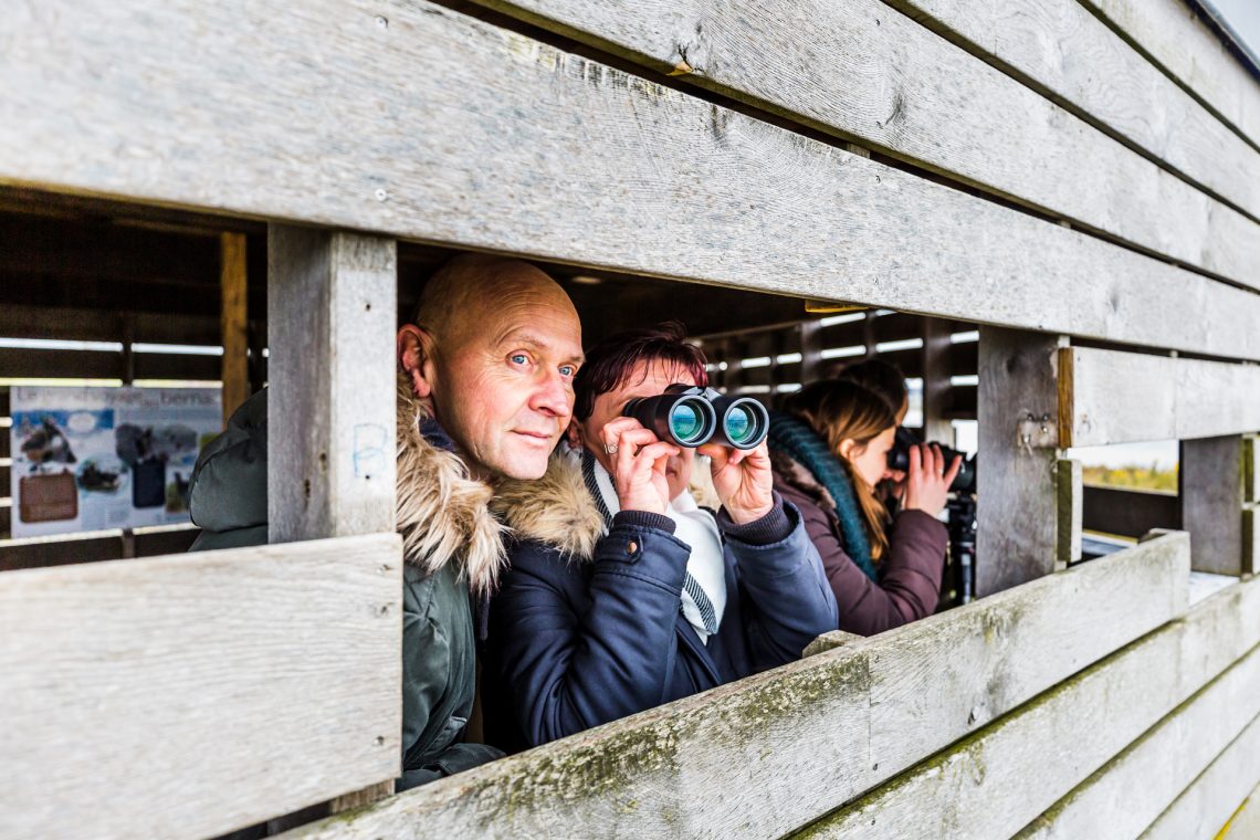 Observation oiseaux Baie de Saint-Brieuc